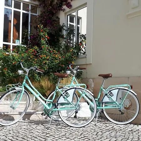 Albergaria Sao Pedro Casa de hóspedes São Martinho do Porto